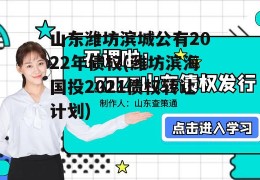 山东潍坊滨城公有2022年债权(潍坊滨海国投2021债权转让计划)