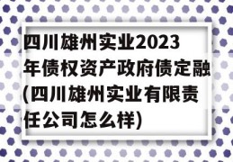 四川雄州实业2023年债权资产政府债定融(四川雄州实业有限责任公司怎么样)