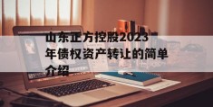 山东正方控股2023年债权资产转让的简单介绍