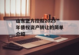 山东正方控股2023年债权资产转让的简单介绍