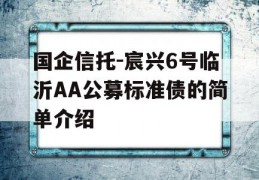 国企信托-宸兴6号临沂AA公募标准债的简单介绍