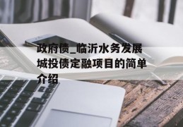 政府债_临沂水务发展城投债定融项目的简单介绍