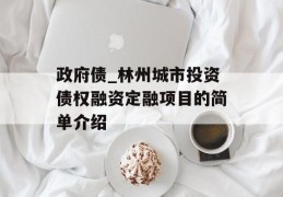 政府债_林州城市投资债权融资定融项目的简单介绍