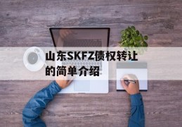 山东SKFZ债权转让的简单介绍