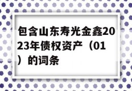 包含山东寿光金鑫2023年债权资产（01）的词条