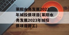 莱阳水务发展2023年城投债项目(莱阳水务发展2023年城投债项目开工)