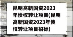 昆明高新国资2023年债权转让项目(昆明高新国资2023年债权转让项目招标)