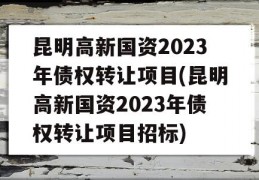 昆明高新国资2023年债权转让项目(昆明高新国资2023年债权转让项目招标)