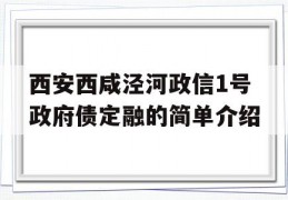 西安西咸泾河政信1号政府债定融的简单介绍