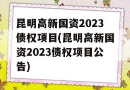 昆明高新国资2023债权项目(昆明高新国资2023债权项目公告)