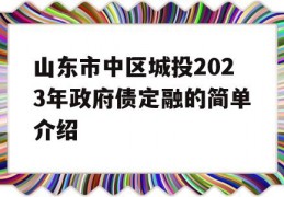 山东市中区城投2023年政府债定融的简单介绍