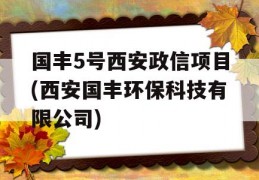 国丰5号西安政信项目(西安国丰环保科技有限公司)