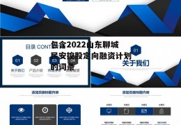 包含2022山东聊城民安控股定向融资计划的词条