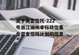 关于央企信托-222号浙江湖州非标政信集合资金信托计划的信息