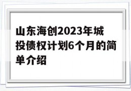 山东海创2023年城投债权计划6个月的简单介绍