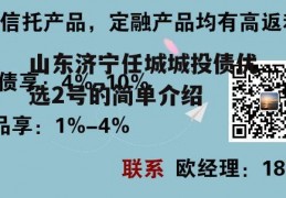 山东济宁任城城投债优选2号的简单介绍