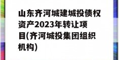 山东齐河城建城投债权资产2023年转让项目(齐河城投集团组织机构)