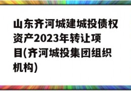 山东齐河城建城投债权资产2023年转让项目(齐河城投集团组织机构)