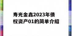 寿光金鑫2023年债权资产01的简单介绍