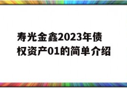 寿光金鑫2023年债权资产01的简单介绍