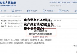 山东泰丰2022债权资产政府债定融(山东泰丰集团简介)