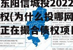 山东阳信城投2022债权(为什么投哪网都是正在撮合债权项目)