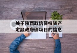 关于陕西政信债权资产定融政府债项目的信息