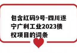 包含红码9号-四川遂宁广利工业2023债权项目的词条