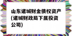 山东诸城财金债权资产(诸城财政局下属投资公司)