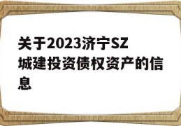 关于2023济宁SZ城建投资债权资产的信息