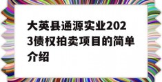 大英县通源实业2023债权拍卖项目的简单介绍