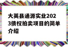 大英县通源实业2023债权拍卖项目的简单介绍