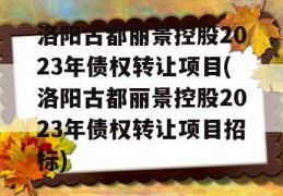 洛阳古都丽景控股2023年债权转让项目(洛阳古都丽景控股2023年债权转让项目招标)