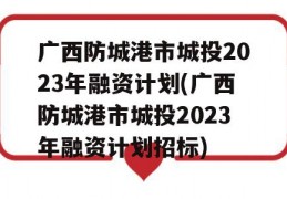 广西防城港市城投2023年融资计划(广西防城港市城投2023年融资计划招标)