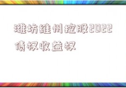 潍坊维州控股2022债权收益权