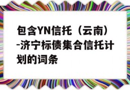 包含YN信托（云南）-济宁标债集合信托计划的词条