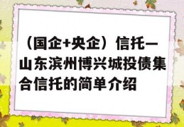 （国企+央企）信托—山东滨州博兴城投债集合信托的简单介绍