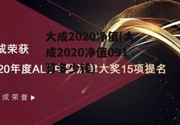 大成2020净值(大成2020净值091算多少钱)