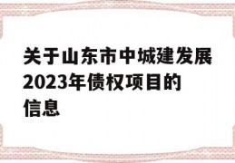 关于山东市中城建发展2023年债权项目的信息