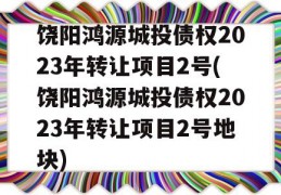 饶阳鸿源城投债权2023年转让项目2号(饶阳鸿源城投债权2023年转让项目2号地块)