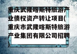 重庆武隆喀斯特旅游产业债权资产转让项目(重庆市武隆喀斯特旅游产业集团有限公司招聘)