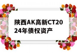 陕西AK高新CT2024年债权资产