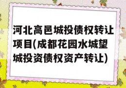 河北高邑城投债权转让项目(成都花园水城望城投资债权资产转让)