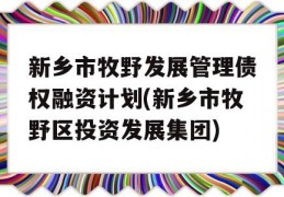 新乡市牧野发展管理债权融资计划(新乡市牧野区投资发展集团)