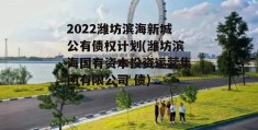 2022潍坊滨海新城公有债权计划(潍坊滨海国有资本投资运营集团有限公司 债)