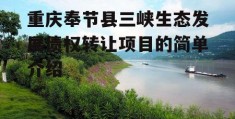 重庆奉节县三峡生态发展债权转让项目的简单介绍