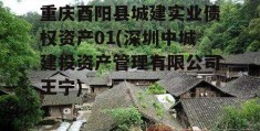 重庆酉阳县城建实业债权资产01(深圳中城建投资产管理有限公司王宁)