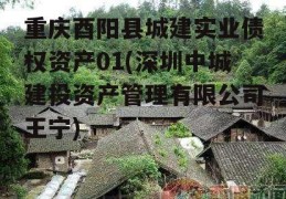 重庆酉阳县城建实业债权资产01(深圳中城建投资产管理有限公司王宁)