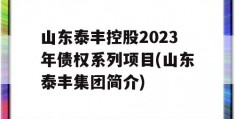 山东泰丰控股2023年债权系列项目(山东泰丰集团简介)