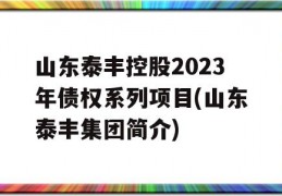 山东泰丰控股2023年债权系列项目(山东泰丰集团简介)